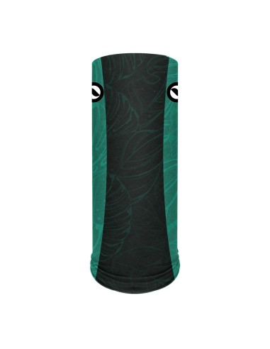 Combo de Pesca Dourado do Mar Azul –...